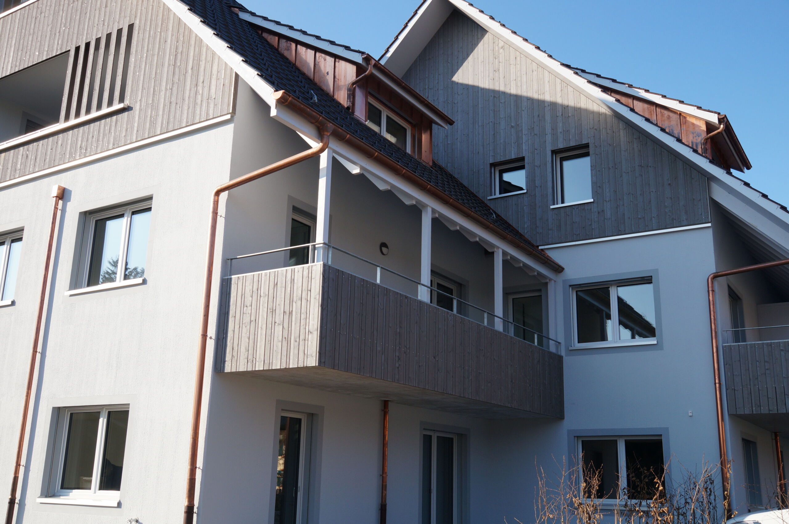 Projekt Altikon Grünegg 01